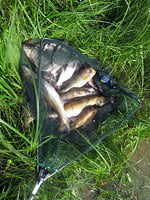 Рыбалка на озере Селигер