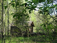 Отдых на озере Селигер