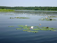 Отдых на озере Селигер