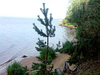 Отдых на озере Селигер