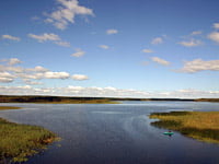 Селижаровский плес, отдых на Селигере