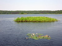 Озеро Вселуг, отдых на Селигере